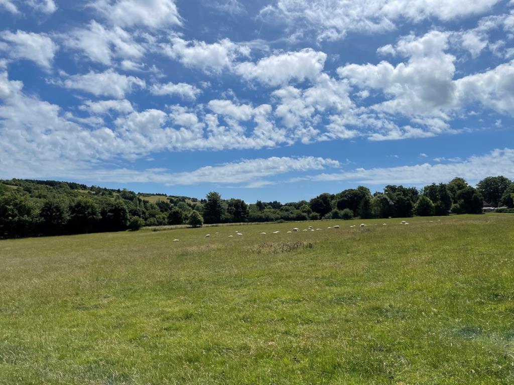 Lot: 101 - LAND WITH PLANNING FOR FOUR-BEDROOM DETACHED HOUSE WITH GARAGE - View from the Site